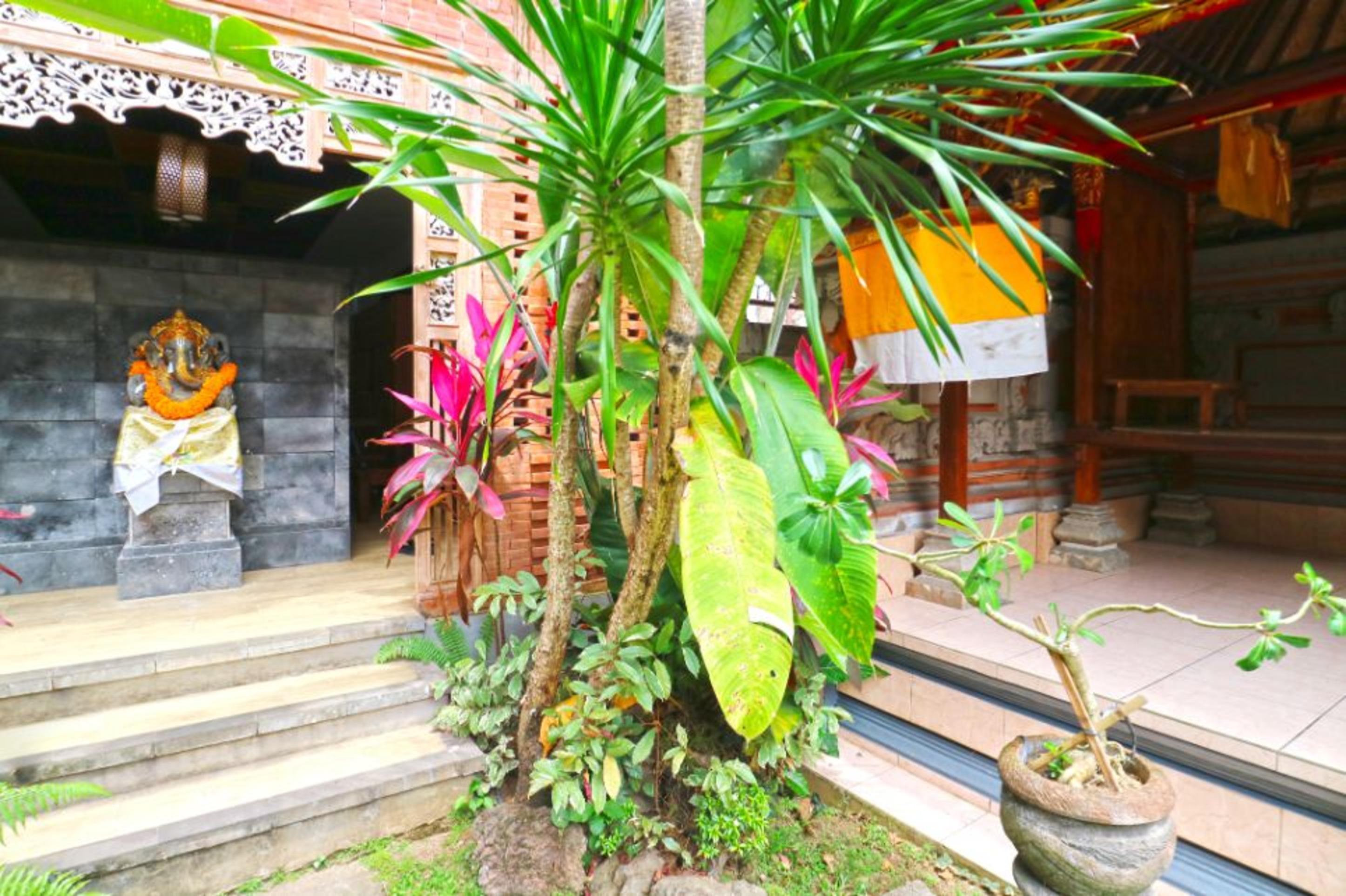 New Ubud Hostel Extérieur photo